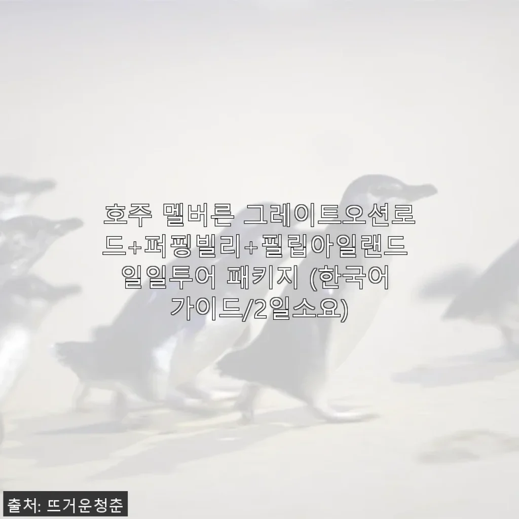 호주 멜버른 그레이트오션로드+퍼핑빌리+필립아일랜드 일일투어 2일 패키지 사용후기