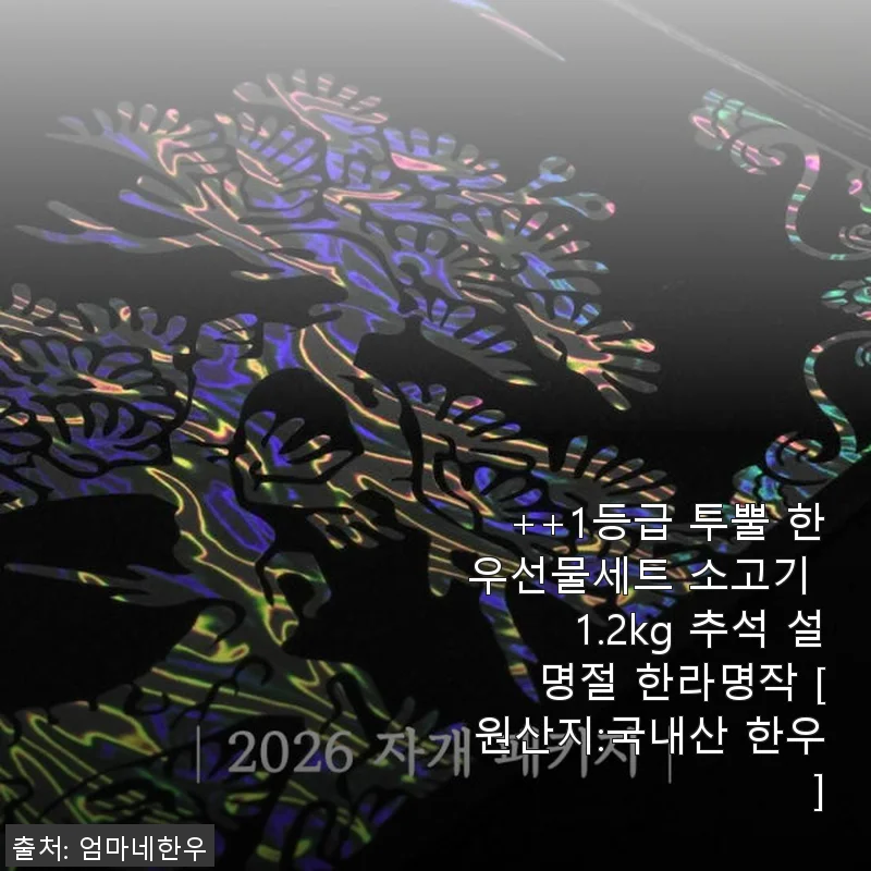 1등급 투뿔 한우선물세트 한라명작 1.2kg 사용후기와 추천