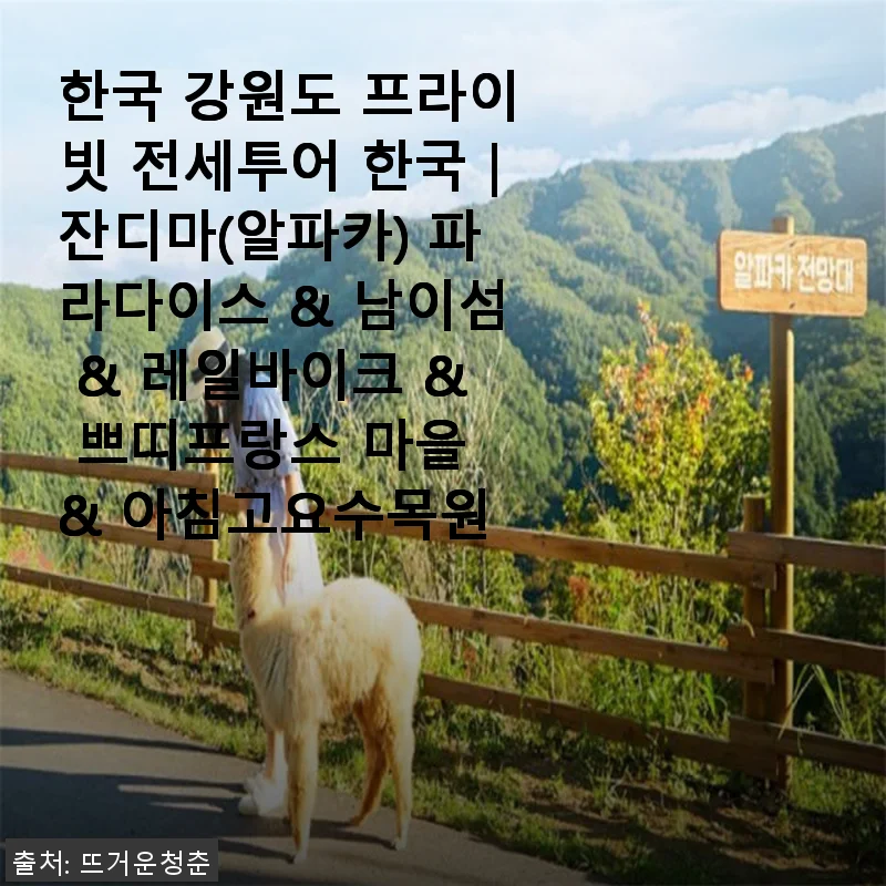 한국 강원도 프라이빗 전세투어 체험 후기 – 잔디마 알파카 파라다이스부터 아침고요수목원까지