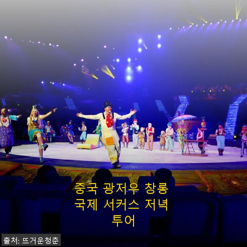 중국 광저우 창롱 국제 서커스 저녁 투어 사용후기