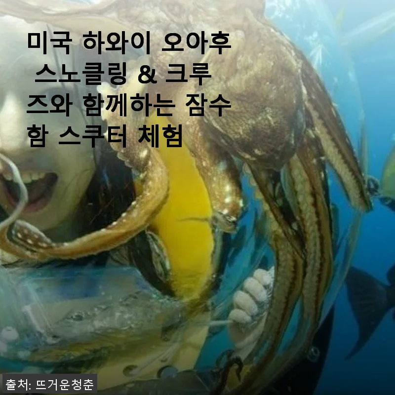 미국 하와이 오아후 스노클링 & 크루즈와 함께하는 잠수함 스쿠터 체험 후기