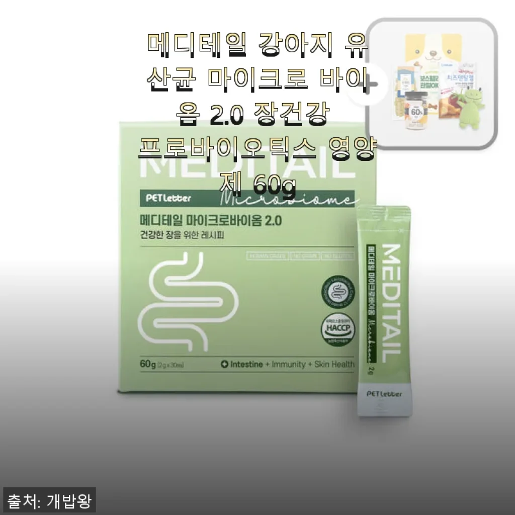 메디테일 강아지 유산균 마이크로 바이옴 2.0 사용후기: 우리 아이 장 건강 지키기