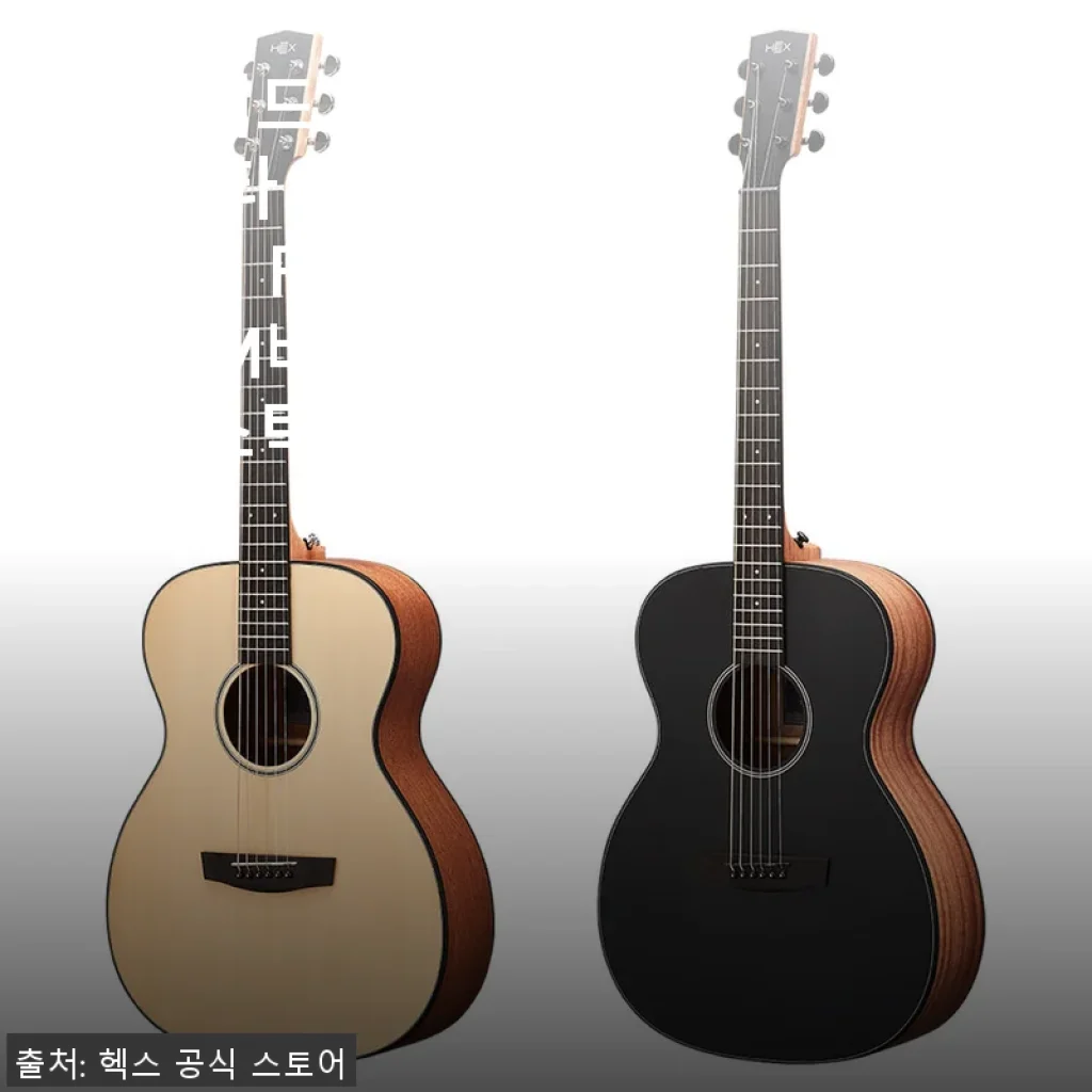 탑솔리드 헥스 STING F200 OM바디 통기타 사용후기 - 입문자에게 딱 맞는 선택