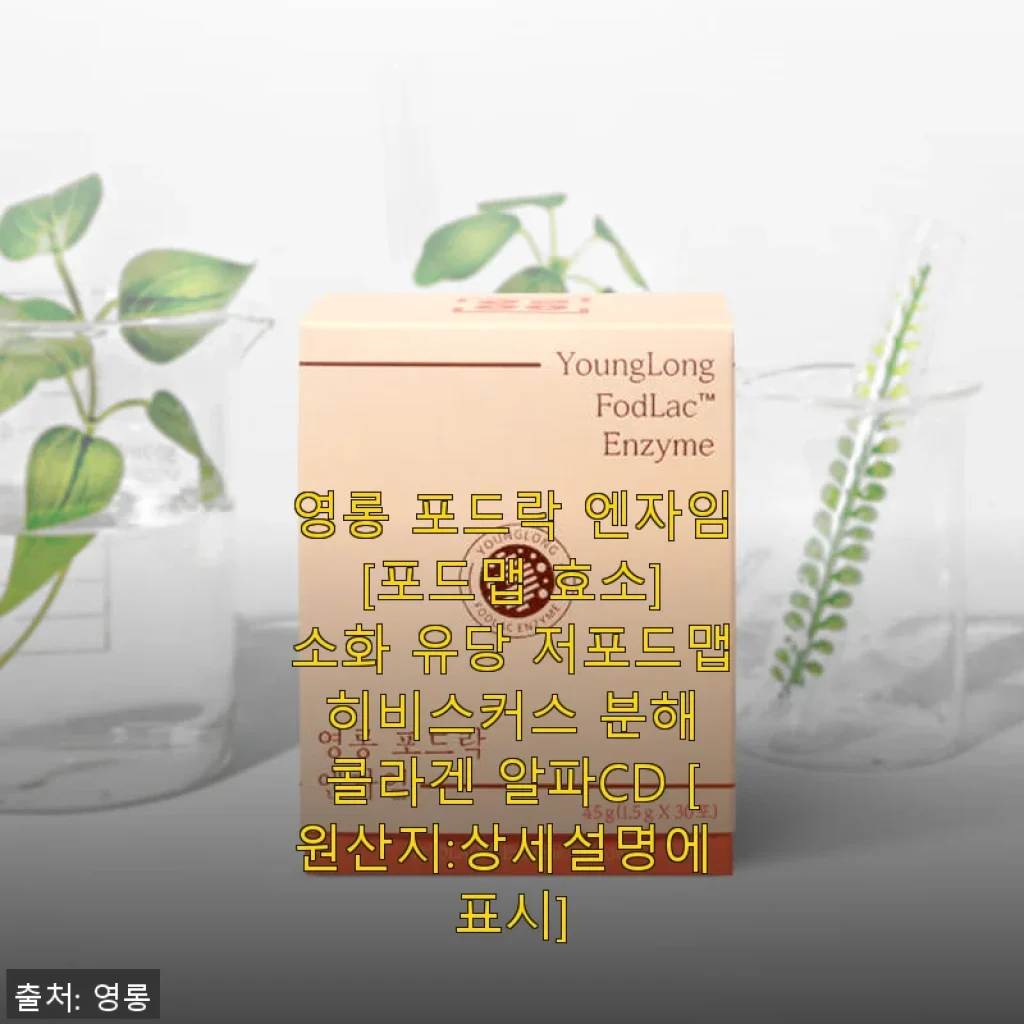 영롱 포드락 엔자임 사용후기: 소화가 편안해진 나만의 비결