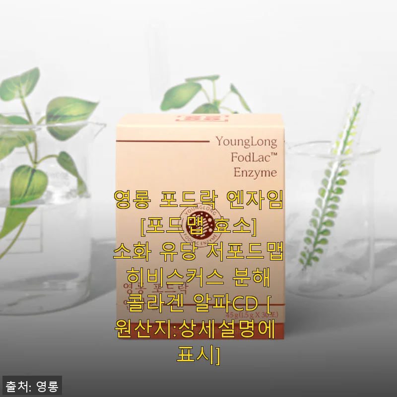 영롱 포드락 엔자임 사용후기: 소화가 편안해진 나만의 비결