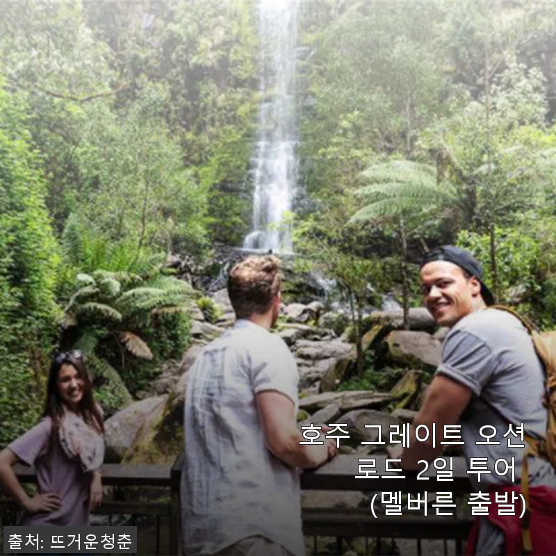 호주 그레이트 오션 로드 2일 투어 사용후기: 멜버른 출발의 특별한 경험