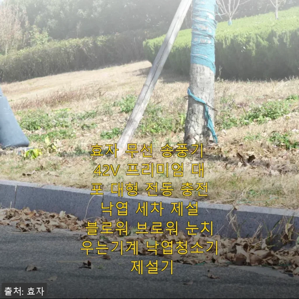 효자 무선 송풍기 42V 프리미엄 대포 사용후기 및 제품 소개