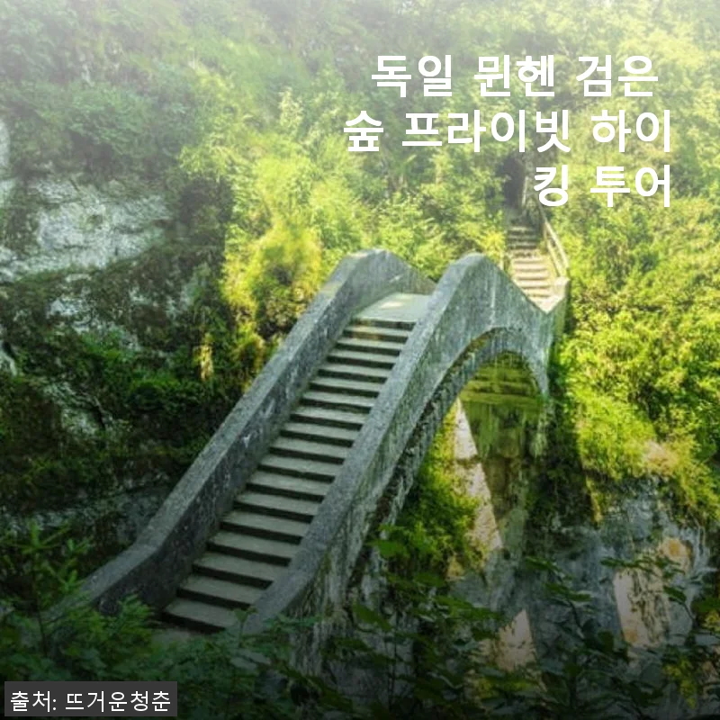 독일 뮌헨 검은 숲 프라이빗 하이킹 투어 후기: 직접 경험한 특별한 자연 속 산책