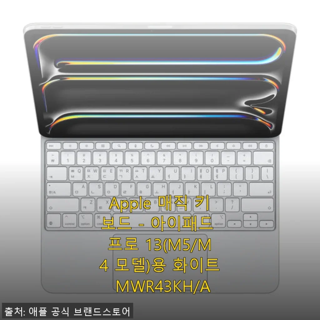 Apple 매직 키보드 - 아이패드 프로 13인치용 사용후기