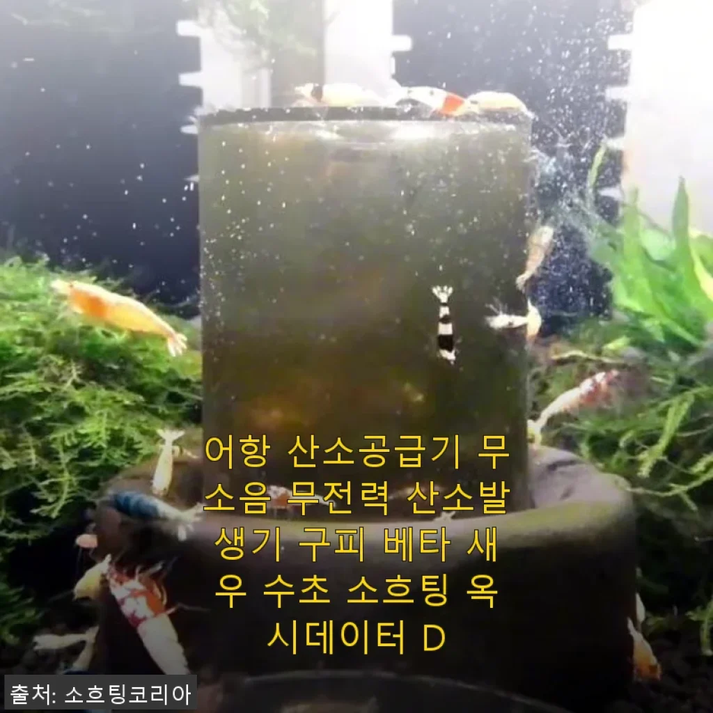 어항 산소공급기 옥시데이터 D 사용후기: 조용하고 효율적인 산소발생기