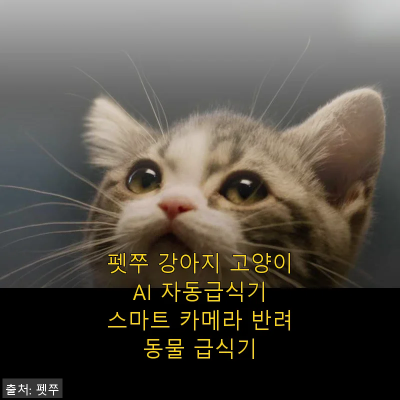펫쭈 강아지 고양이 AI 자동급식기 스마트 카메라 사용후기