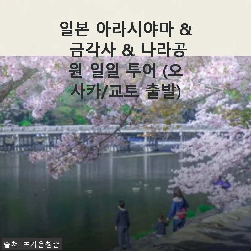 일본 아라시야마 & 금각사 & 나라공원 일일 투어 사용후기