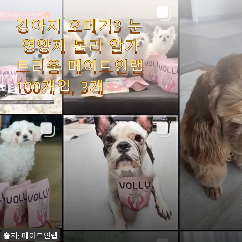 강아지 눈 건강을 위한 볼리 알가트리움 오메가3 영양제 사용 후기