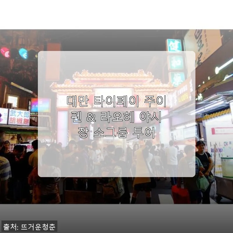 대만 타이페이 주이펜 & 라오헤 야시장 소그룹 투어 사용후기