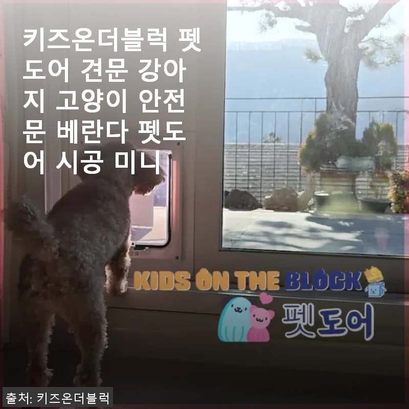 키즈온더블럭 펫도어 견문 사용 후기 – 강아지와 고양이 모두 만족한 안전문