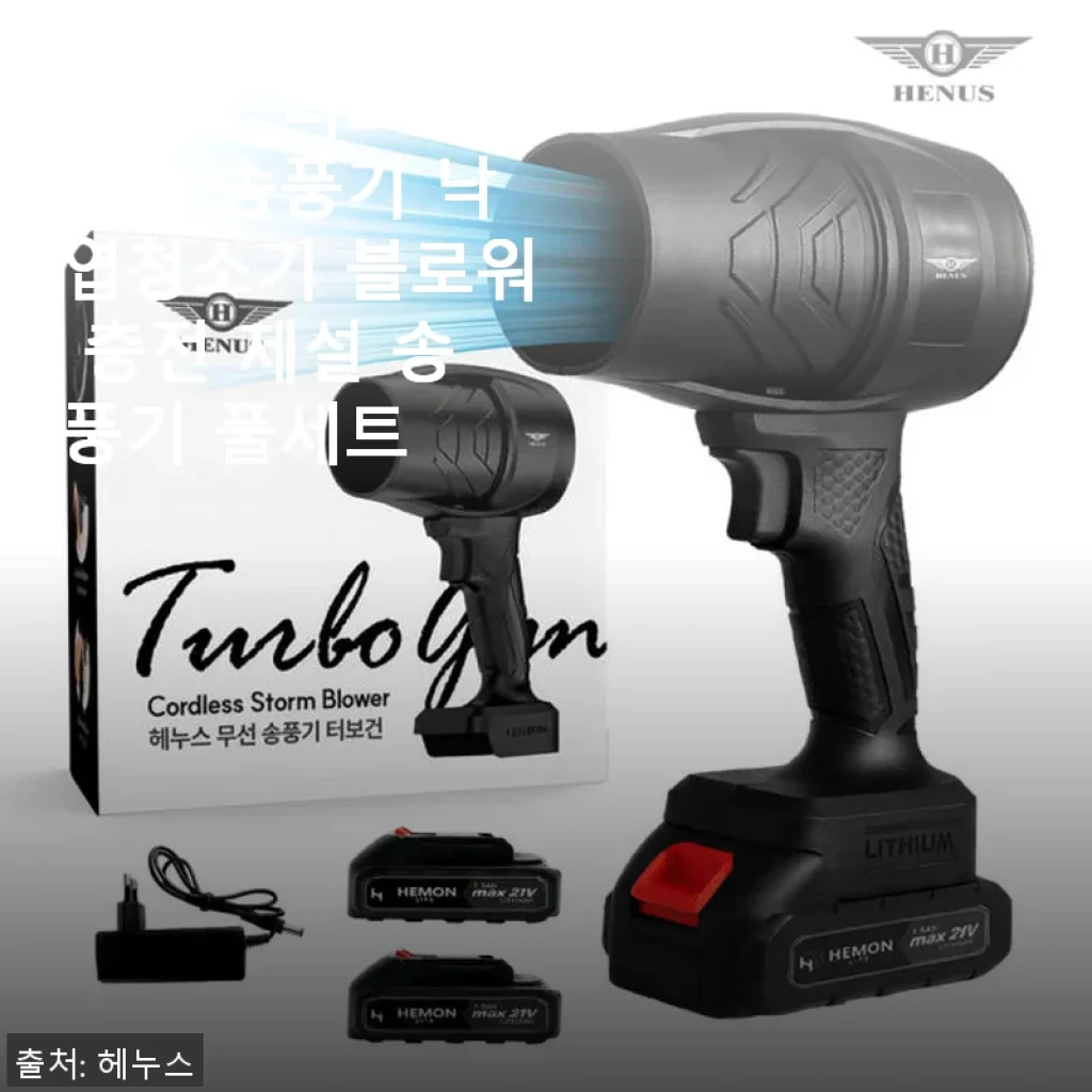 헤누스 터보건 무선 송풍기 낙엽청소기 사용후기, 겨울철 눈과 낙엽 청소에 딱!