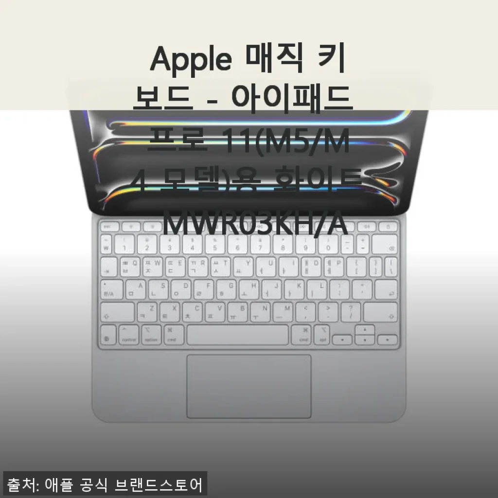 Apple 매직 키보드 아이패드 프로 11용 화이트 MWR03KH/A 사용후기