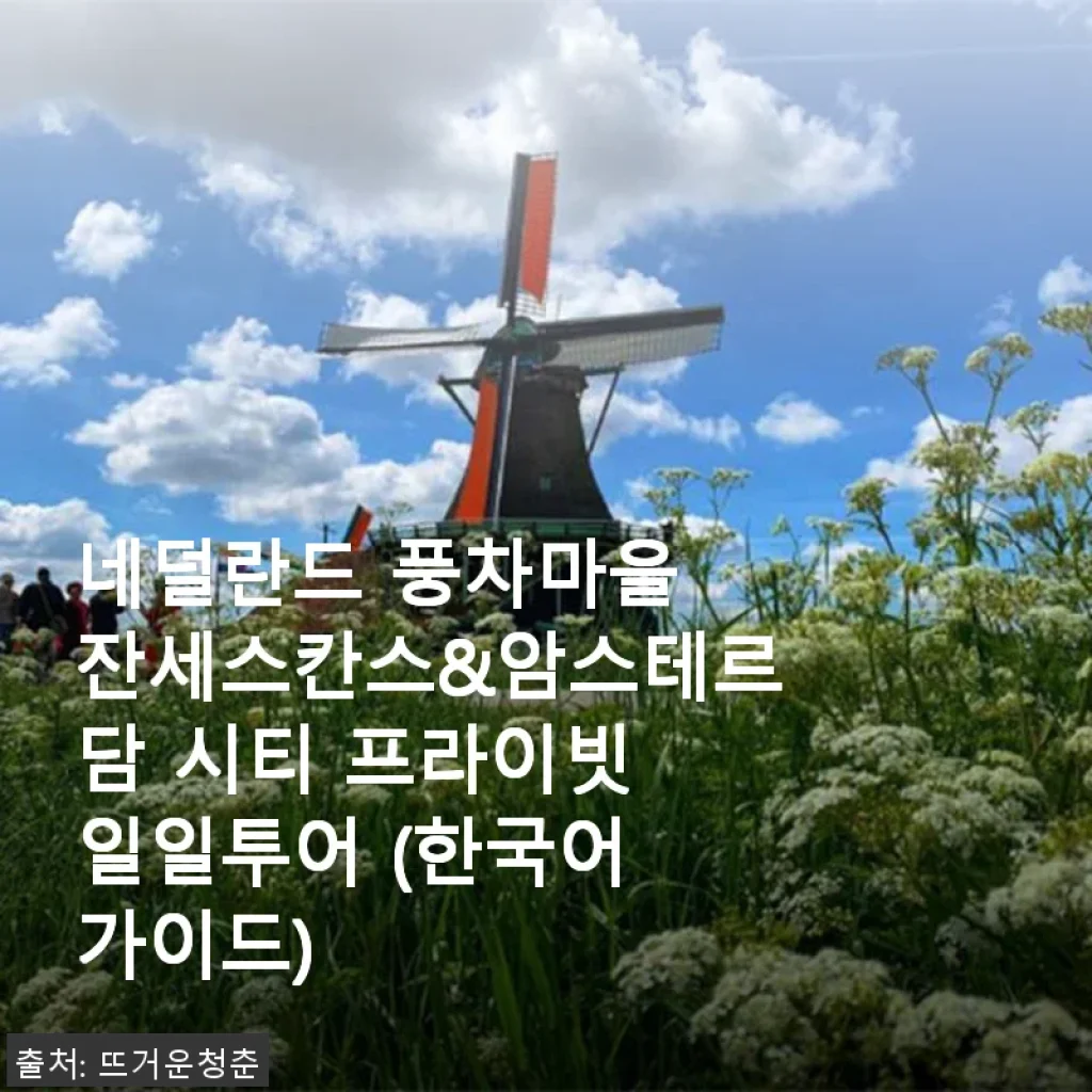 네덜란드 풍차마을 잔세스칸스&암스테르담 시티 프라이빗 일일투어 후기