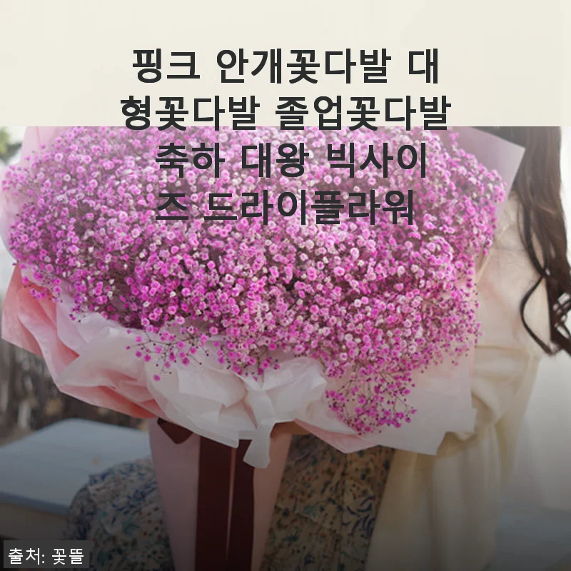 핑크 안개꽃다발 대형꽃다발 사용후기: 특별한 순간을 더 빛나게 해준 축하 선물