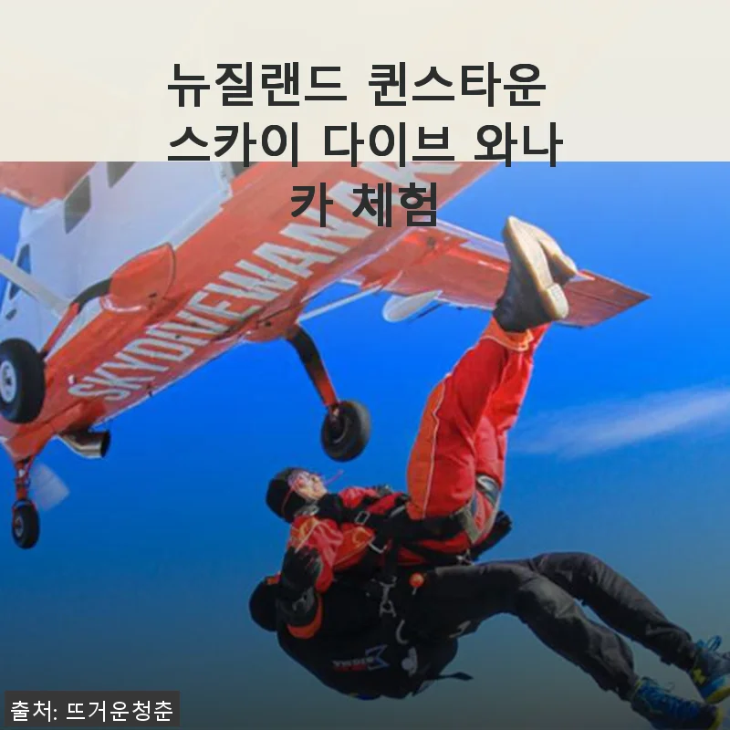 뉴질랜드 퀸스타운 스카이 다이브 와나카 체험 후기와 상세 소개