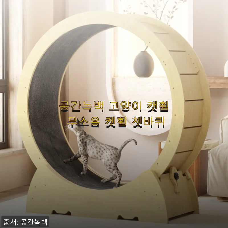 공간녹백 고양이 캣휠 무소음 켓휠 사용후기: 직접 조립하고 경험한 솔직한 이야기