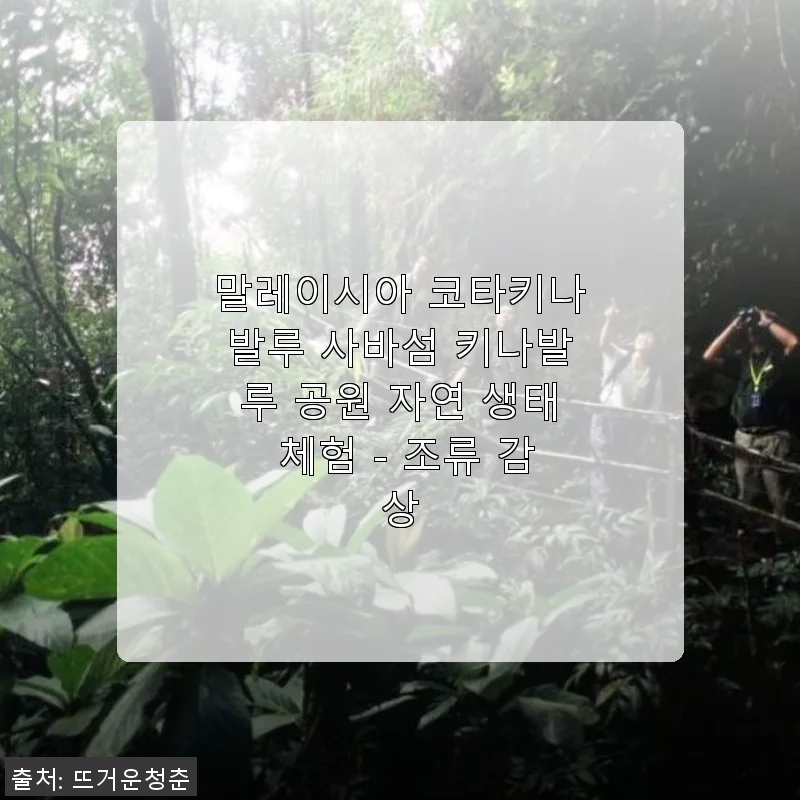 말레이시아 코타키나발루 키나발루 공원 자연 생태 체험 후기