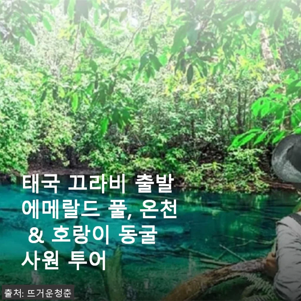 태국 끄라비 출발 에메랄드 풀, 온천 & 호랑이 동굴 사원 투어 후기