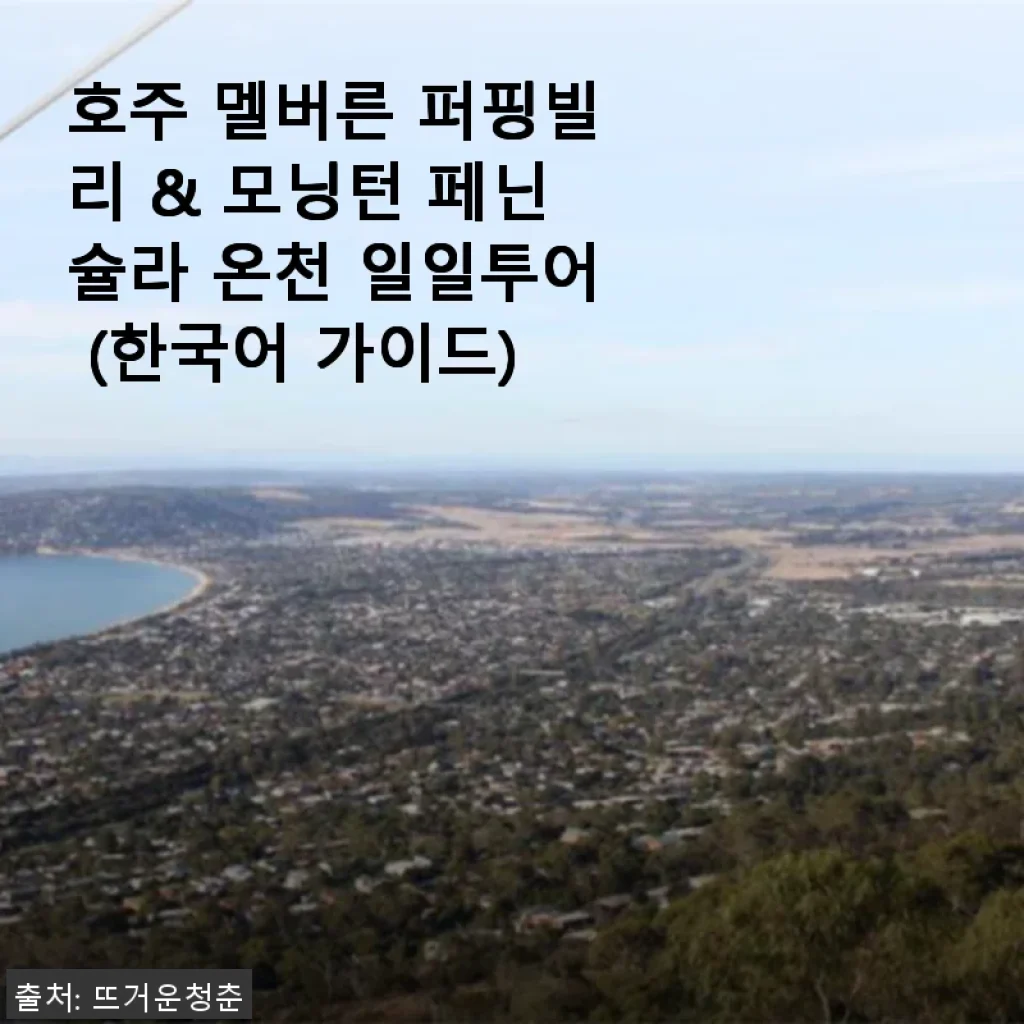 호주 멜버른 퍼핑빌리 & 모닝턴 페닌슐라 온천 일일투어 사용후기