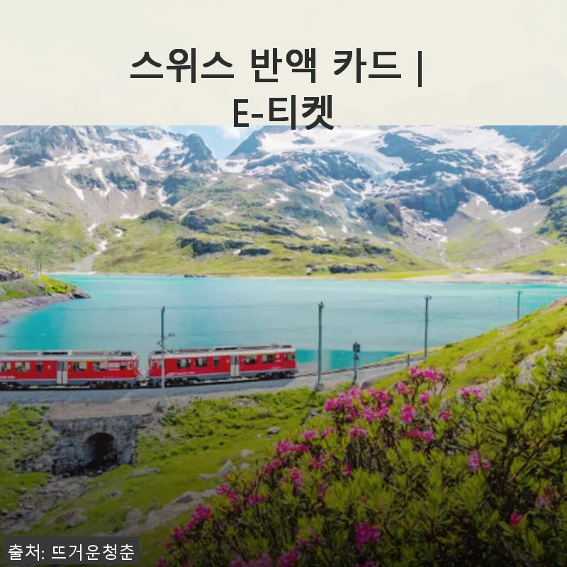 스위스 반액 카드｜E-티켓 실제 사용 후기와 자세한 제품 소개