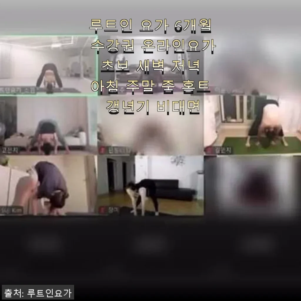 루트인 요가 6개월 수강권 직접 사용 후기와 추천