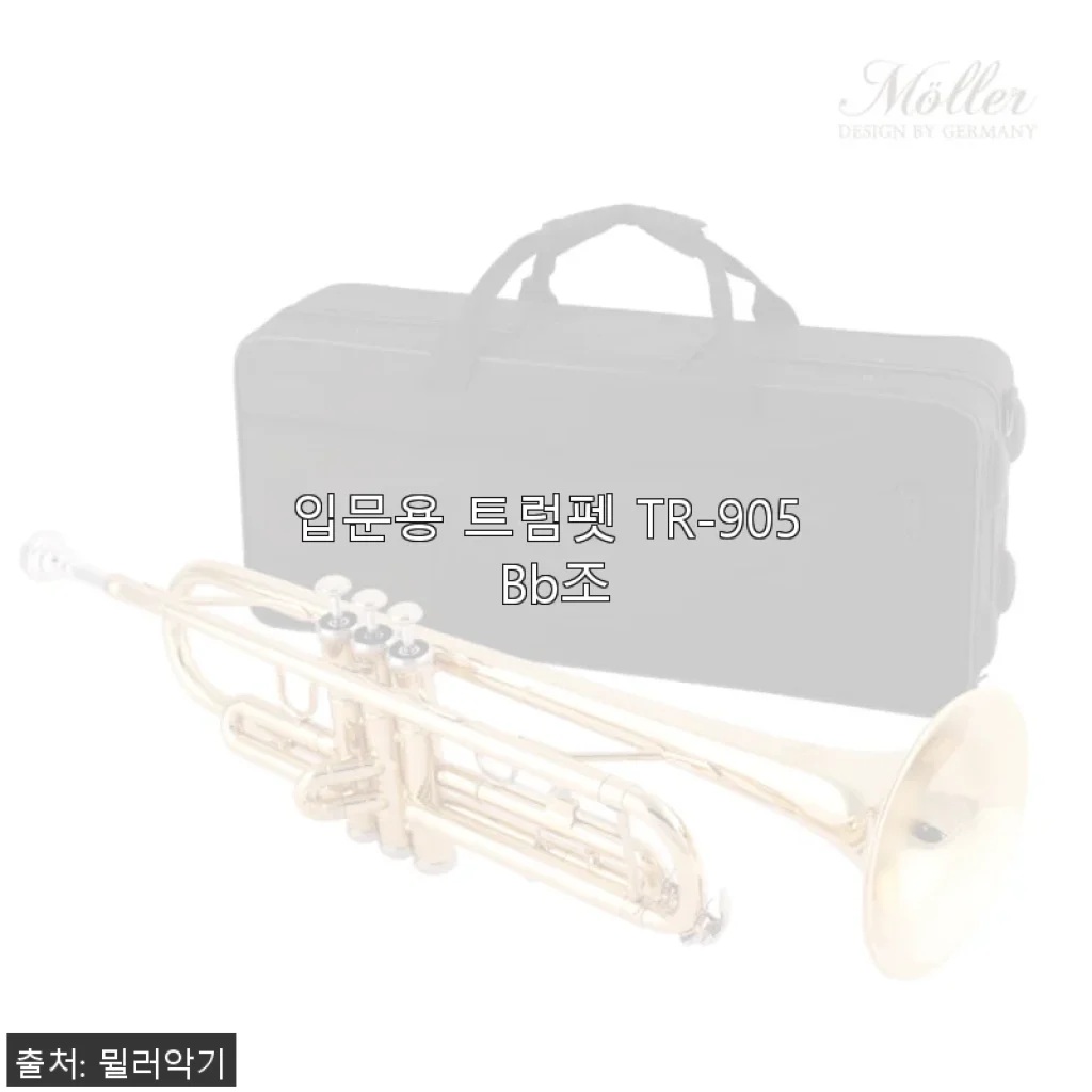 입문용 트럼펫 TR-905 Bb조 사용후기: 처음 시작하는 연주자를 위한 최적의 선택
