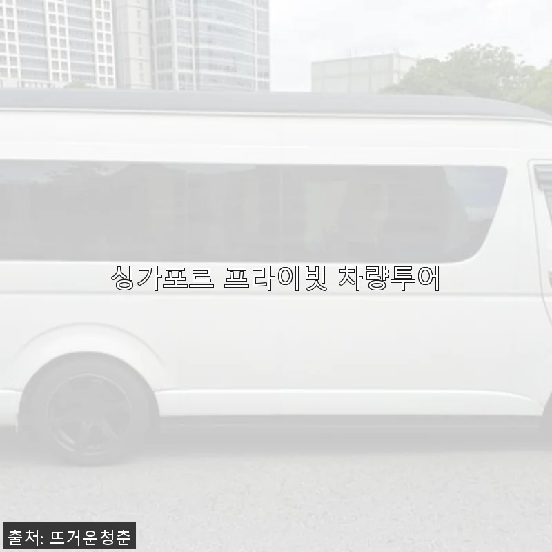 싱가포르 프라이빗 차량투어, 직접 경험한 편안함과 특별함