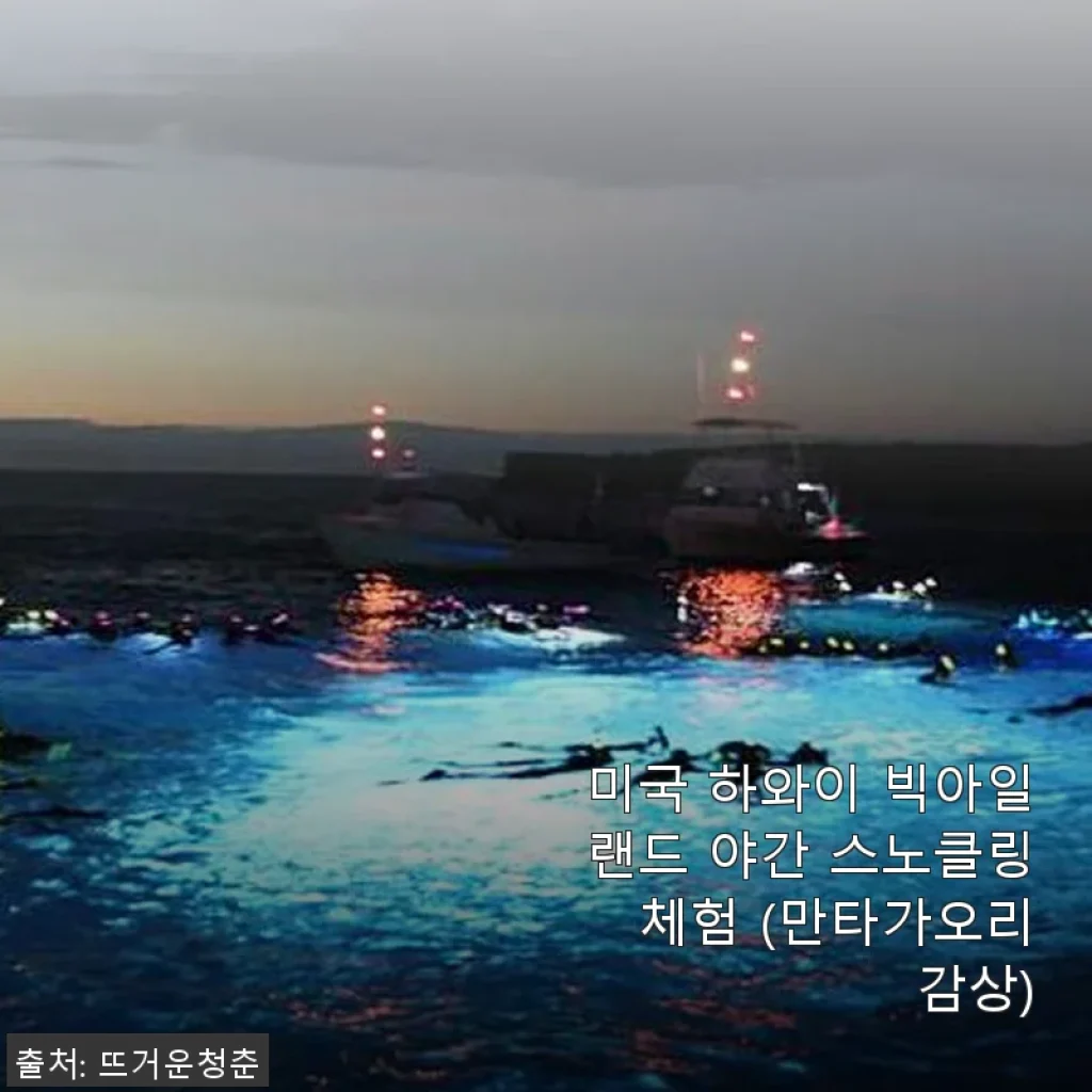 미국 하와이 빅아일랜드 야간 스노클링 체험 만타가오리 감상 후기