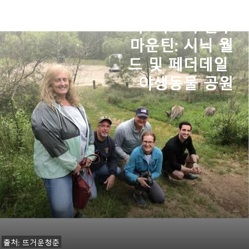 호주 시드니 블루마운틴 시닉 월드 & 페더데일 야생동물 공원 방문 후기