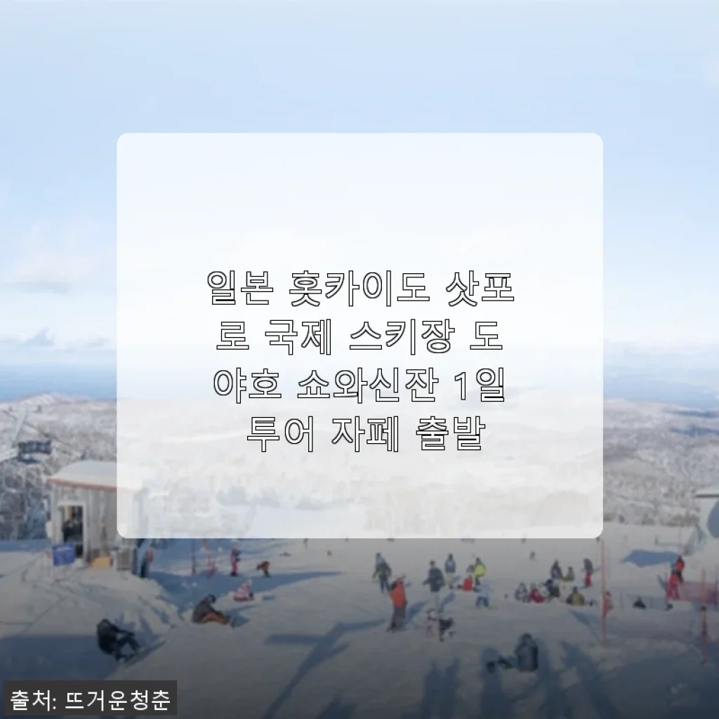 일본 홋카이도 삿포로 국제 스키장 도야호 쇼와신잔 1일 투어 사용후기
