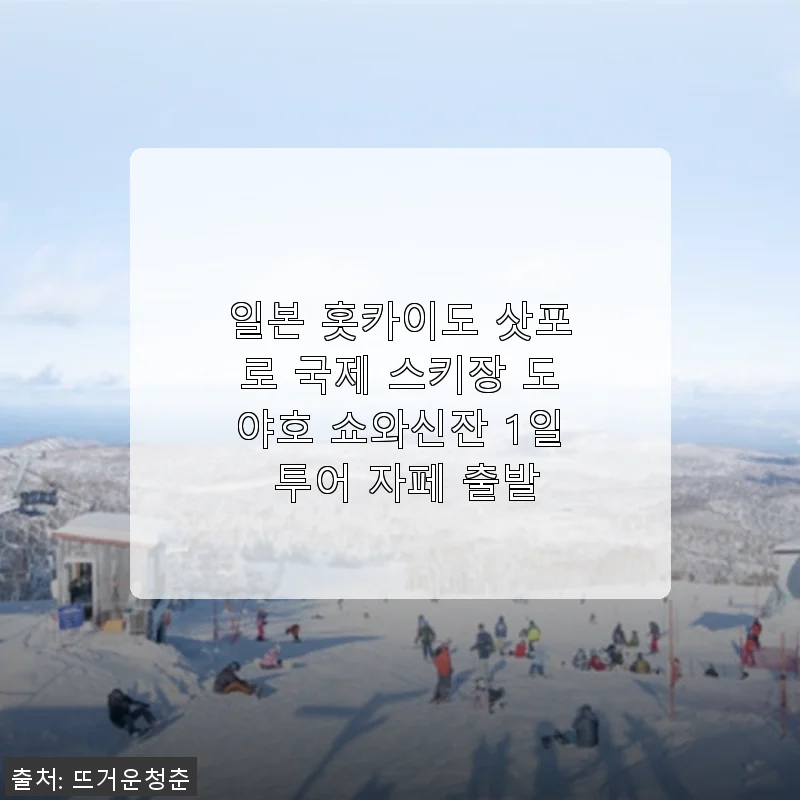 일본 홋카이도 삿포로 국제 스키장 도야호 쇼와신잔 1일 투어 사용후기