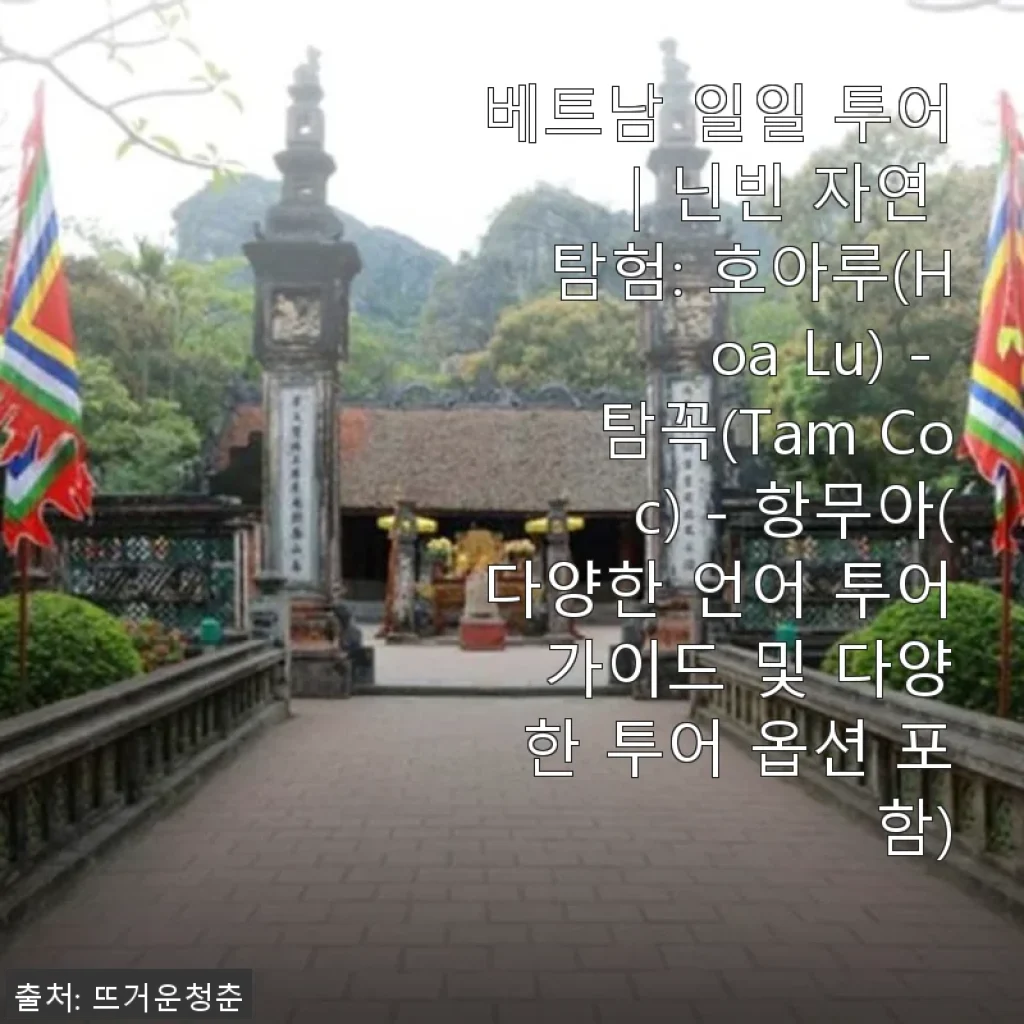 베트남 닌빈 자연 탐험 투어 사용후기: 호아루, 탐꼭, 항무아를 한 번에 경험하다