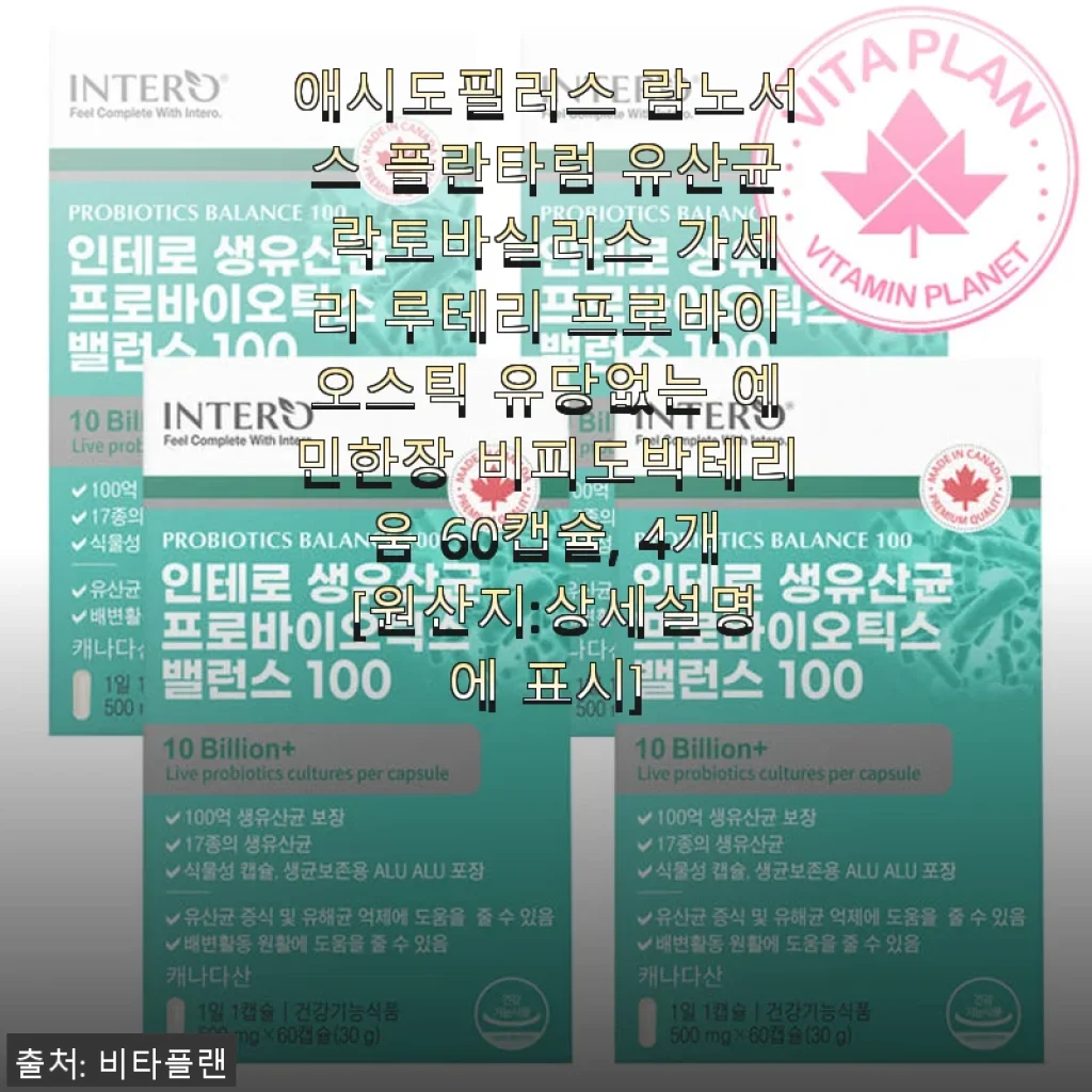 애시도필러스 람노서스 플란타럼 유산균 60캡슐 4개 세트 사용후기