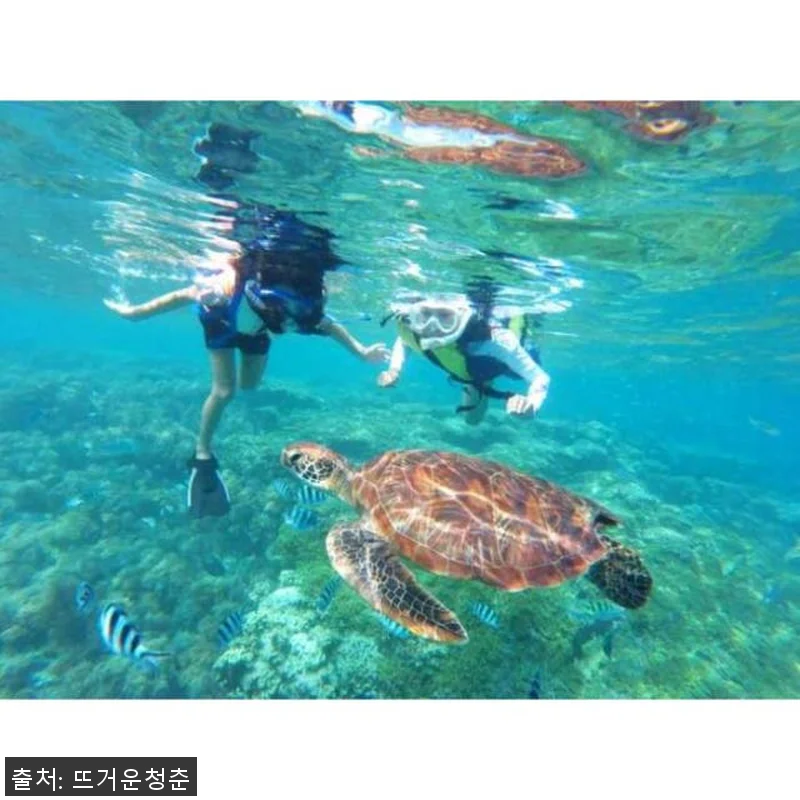 미국 하와이 오아후 호놀룰루 출발 와 관련 이미지 1