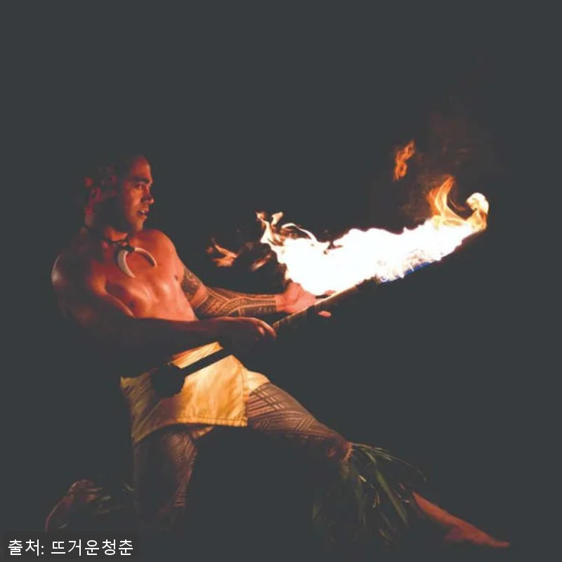 하와이 와이키키 스타라이트 하와이안 관련 이미지 1