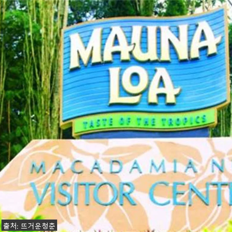 미국 하와이 화산 국립공원 투어 (힐 관련 이미지 1