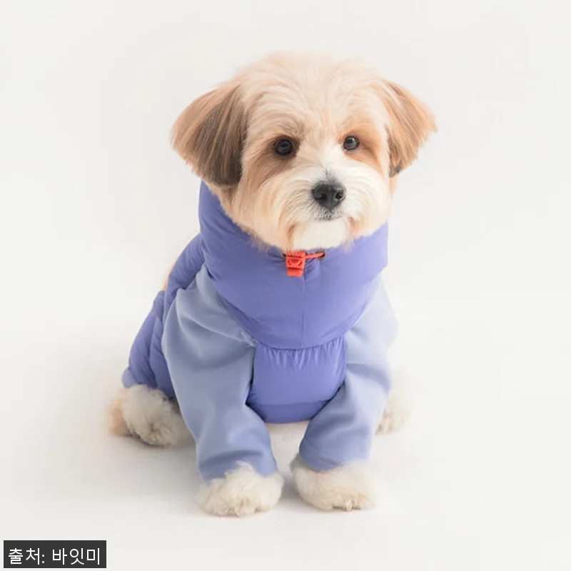 바잇미 LATTA 올인원 강아지패딩 관련 이미지 1