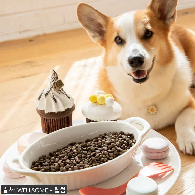 웰썸 그레인프리 강아지 인섹트 관절 관련 이미지 1