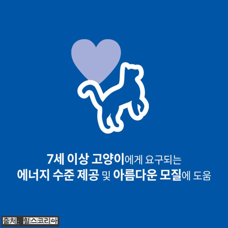 힐스 고양이사료 어덜트 7+ 인도어 관련 이미지 1