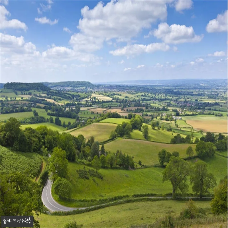 영국 런던 코츠월드 일일 투어 영국식 관련 이미지 1