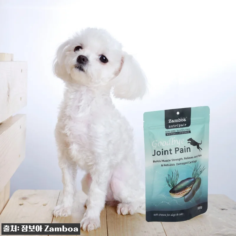 노령견 슬개골 관절 영양제 잠보아 3 관련 이미지 1