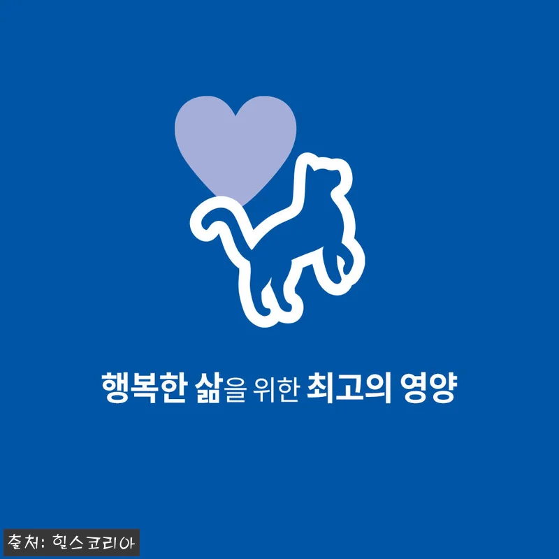 힐스 고양이사료 어덜트 7+ 헬시 퀴 관련 이미지 1