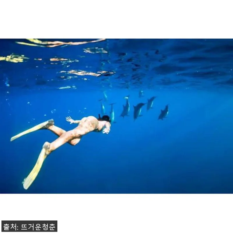 미국 하와이 오아후 호놀룰루 출발 와 관련 이미지 2