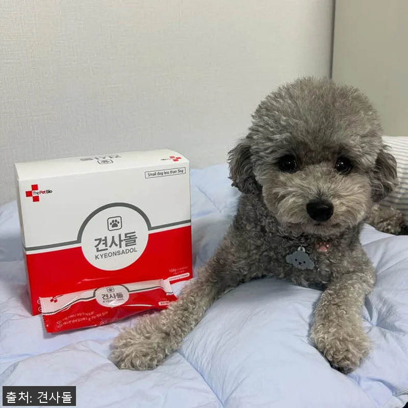 견사돌 4+1 닭고기 덴탈껌 사용후기 관련 이미지 2