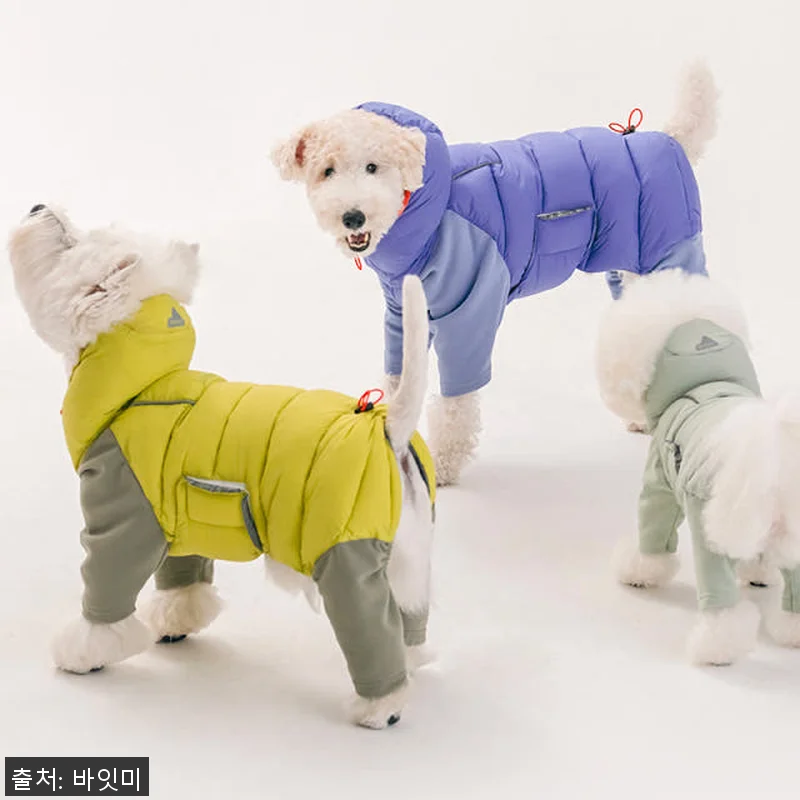 바잇미 LATTA 올인원 강아지패딩 관련 이미지 2